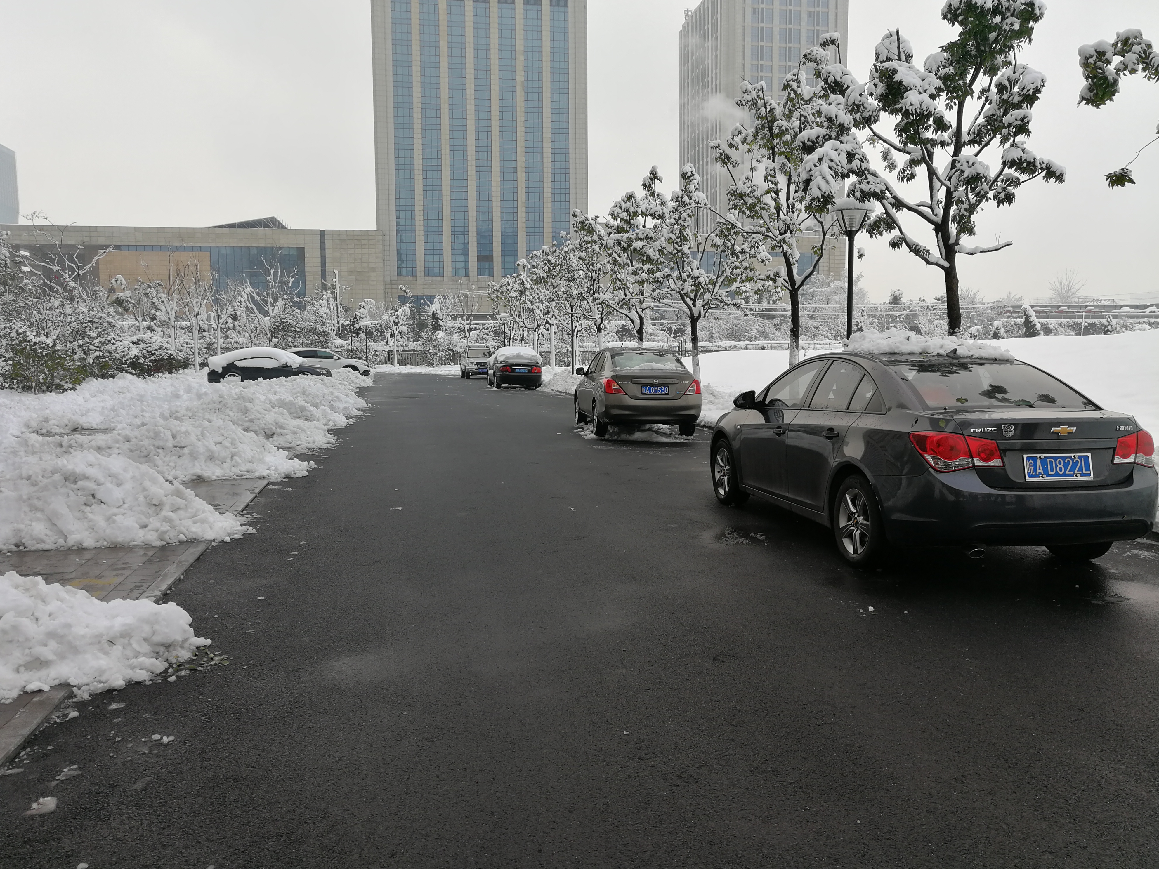 尊龙集团 (中国区)官方网站