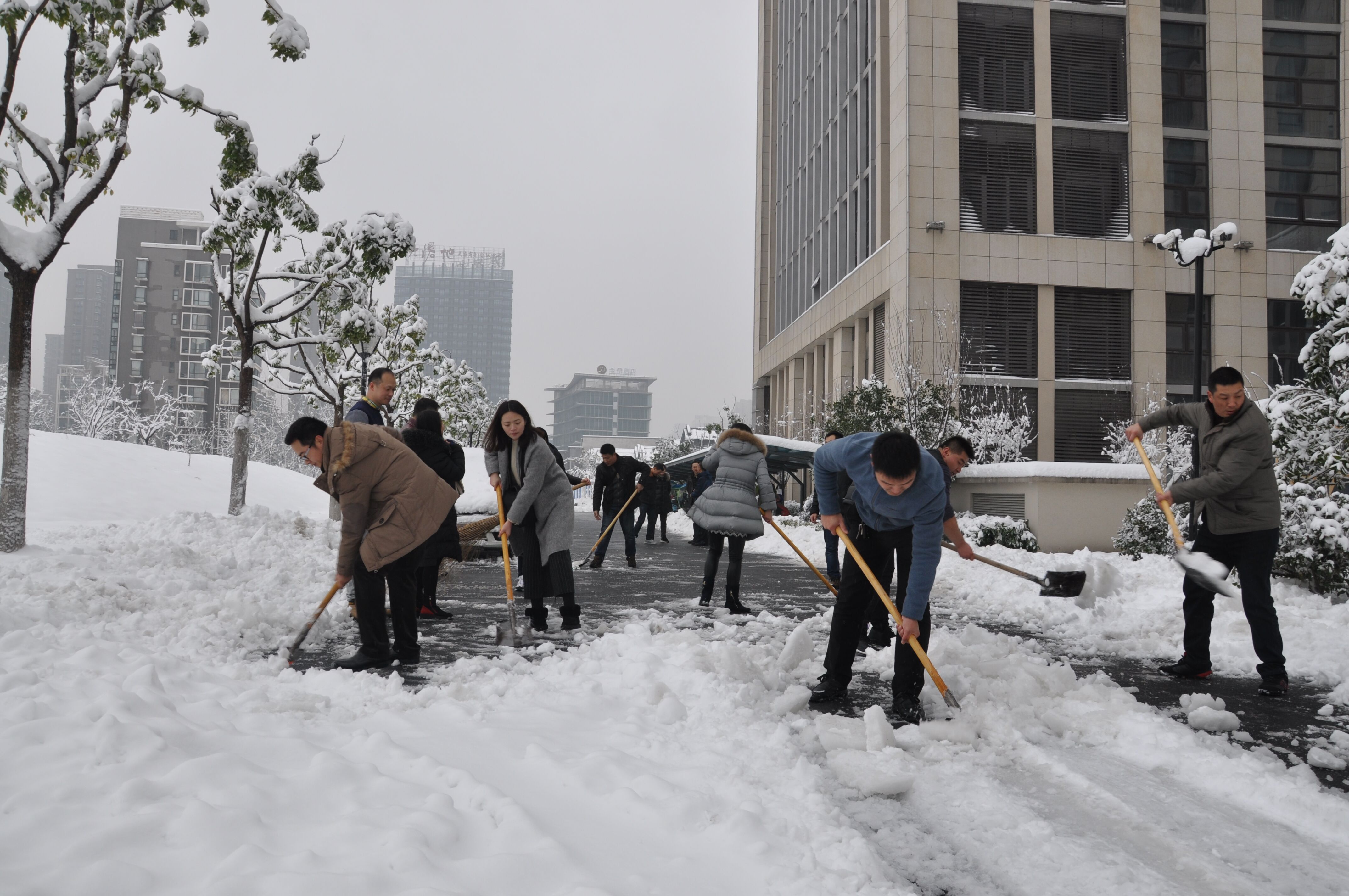尊龙集团 (中国区)官方网站