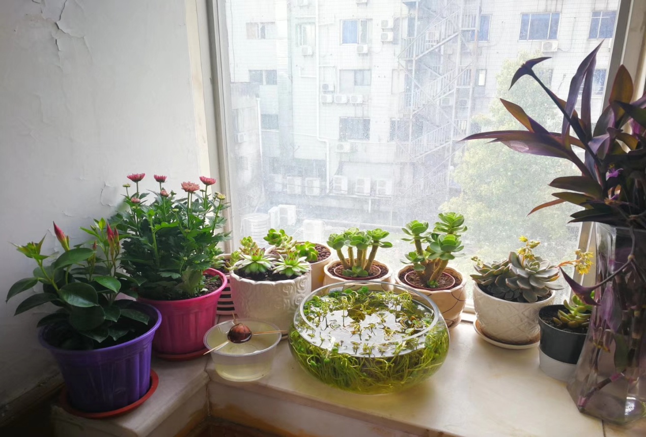 尊龙集团 (中国区)官方网站