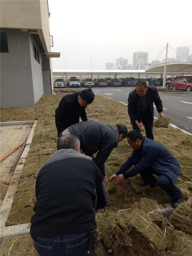 尊龙集团 (中国区)官方网站