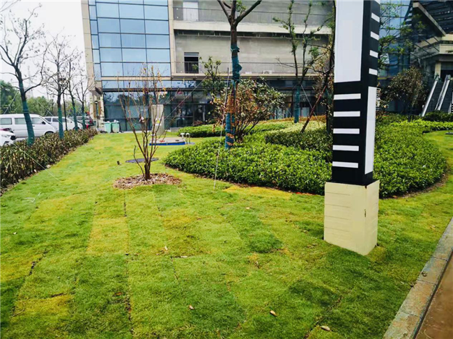 尊龙集团 (中国区)官方网站