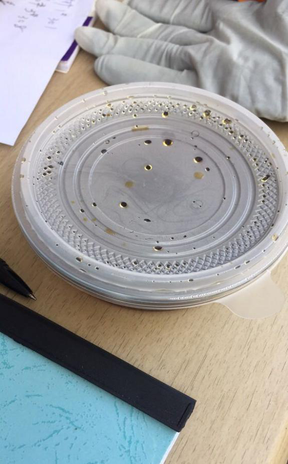 尊龙集团 (中国区)官方网站