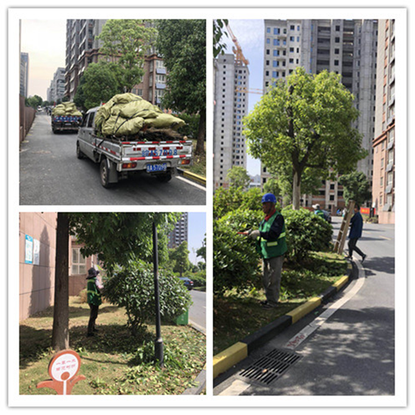 尊龙集团 (中国区)官方网站