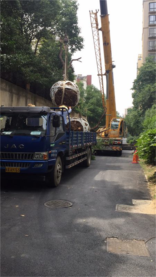 尊龙集团 (中国区)官方网站