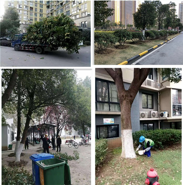 尊龙集团 (中国区)官方网站