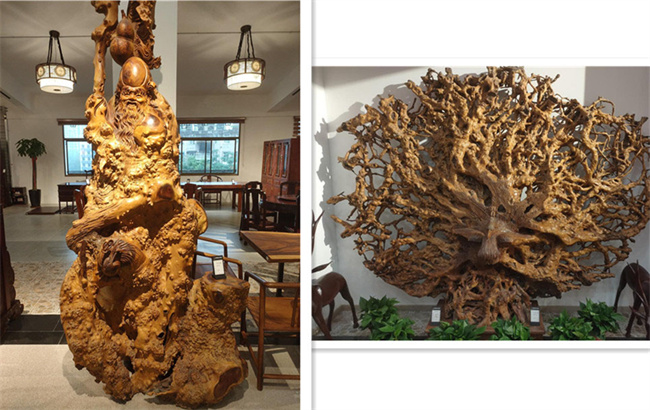 尊龙集团 (中国区)官方网站