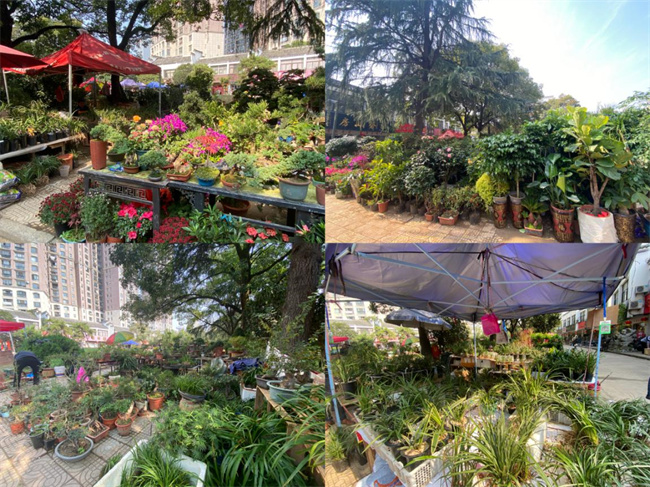 尊龙集团 (中国区)官方网站